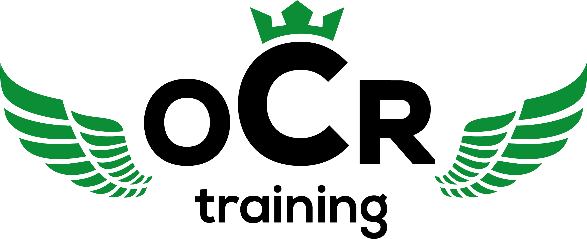 www.ocrtraining.cz